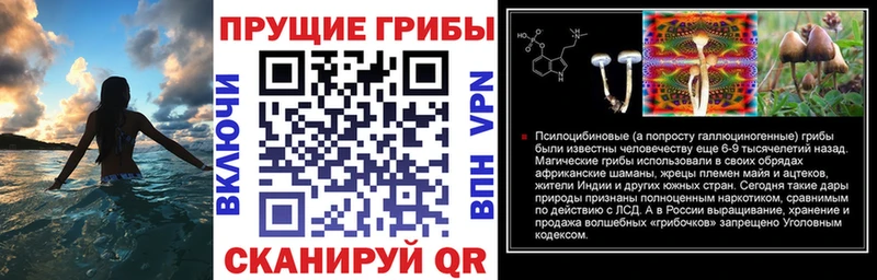 Галлюциногенные грибы GOLDEN TEACHER  Дмитриев 
